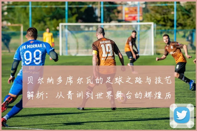 贝尔纳多席尔瓦的足球之路与技艺解析：从青训到世界舞台的辉煌历程