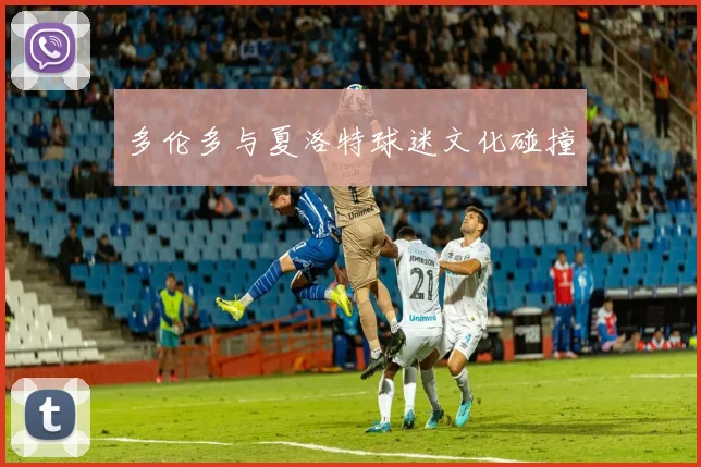 多伦多与夏洛特球迷文化碰撞