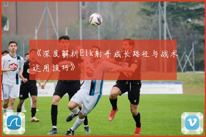 《深度解析Elk射手成长路径与战术运用技巧》