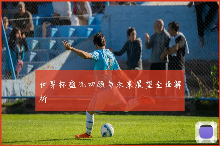 世界杯盛况回顾与未来展望全面解析