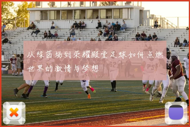 从绿茵场到荣耀殿堂足球如何点燃世界的激情与梦想